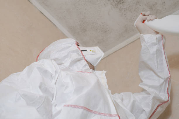 Home Mold Removal in Tomah, WI