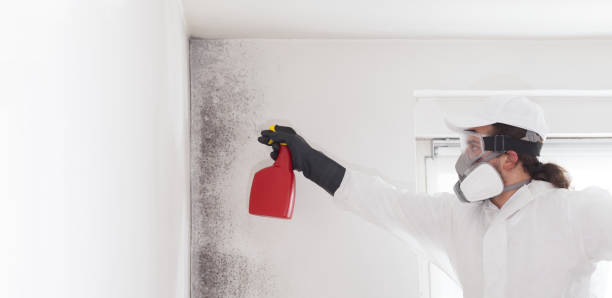 Best Crawl Space Mold Removal  in Tomah, WI